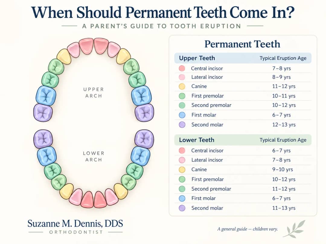Teeth Come In? A Parent’s Guide to Tooth Eruption