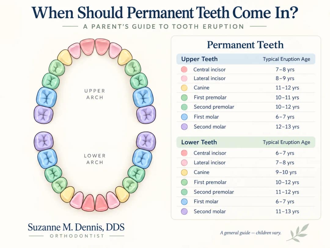 Teeth Come In? A Parent’s Guide to Tooth Eruption